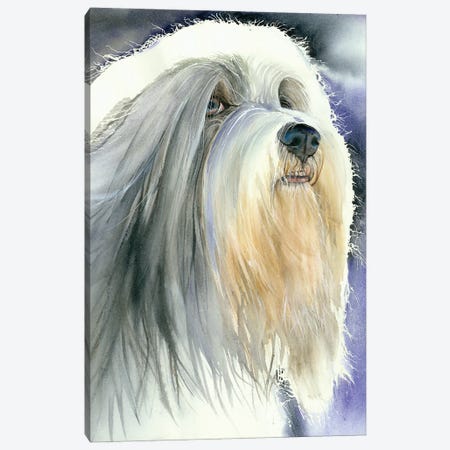 Holy Dog Of Tibet - Tibetan Terrier Canvas Print #JDI384} by Judith Stein Canvas Art Print