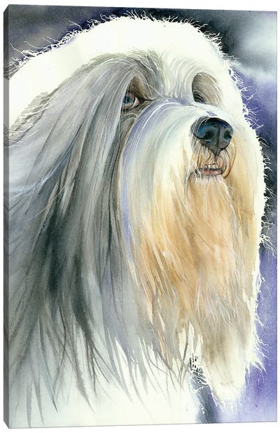 Holy Dog Of Tibet - Tibetan Terrier Canvas Art Print - Judith Stein