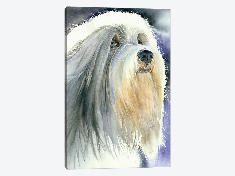 Holy Dog Of Tibet - Tibetan Terrier by Judith Stein 1-piece Canvas Artwork