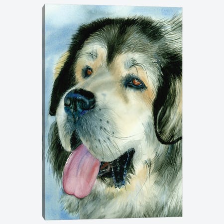 Home Guardian - Tibetan Mastiff Canvas Print #JDI385} by Judith Stein Canvas Art Print