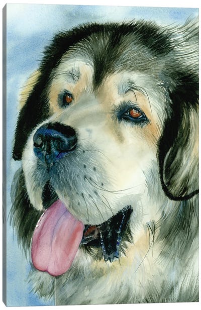 Home Guardian - Tibetan Mastiff Canvas Art Print - Judith Stein