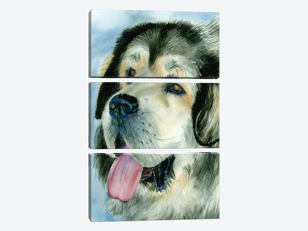 Home Guardian - Tibetan Mastiff by Judith Stein 3-piece Canvas Art Print