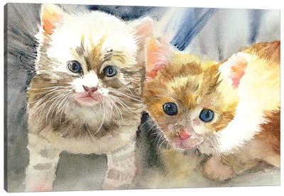 Kitten Kerchoo Canvas Art Print - Judith Stein