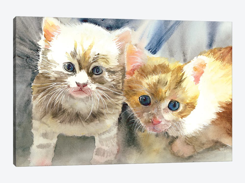 Kitten Kerchoo by Judith Stein 1-piece Canvas Wall Art
