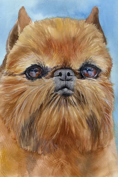 Brussels Griffons: Little Rascal - Brussels Griffon by Judith Stein