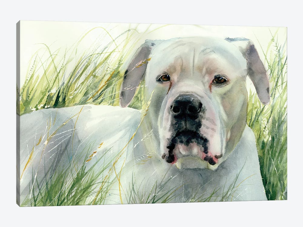 On The Look Out - American Bulldog by Judith Stein 1-piece Canvas Print