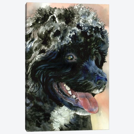 Part Of The Crew - Portuguese Water Dog Canvas Print #JDI391} by Judith Stein Art Print