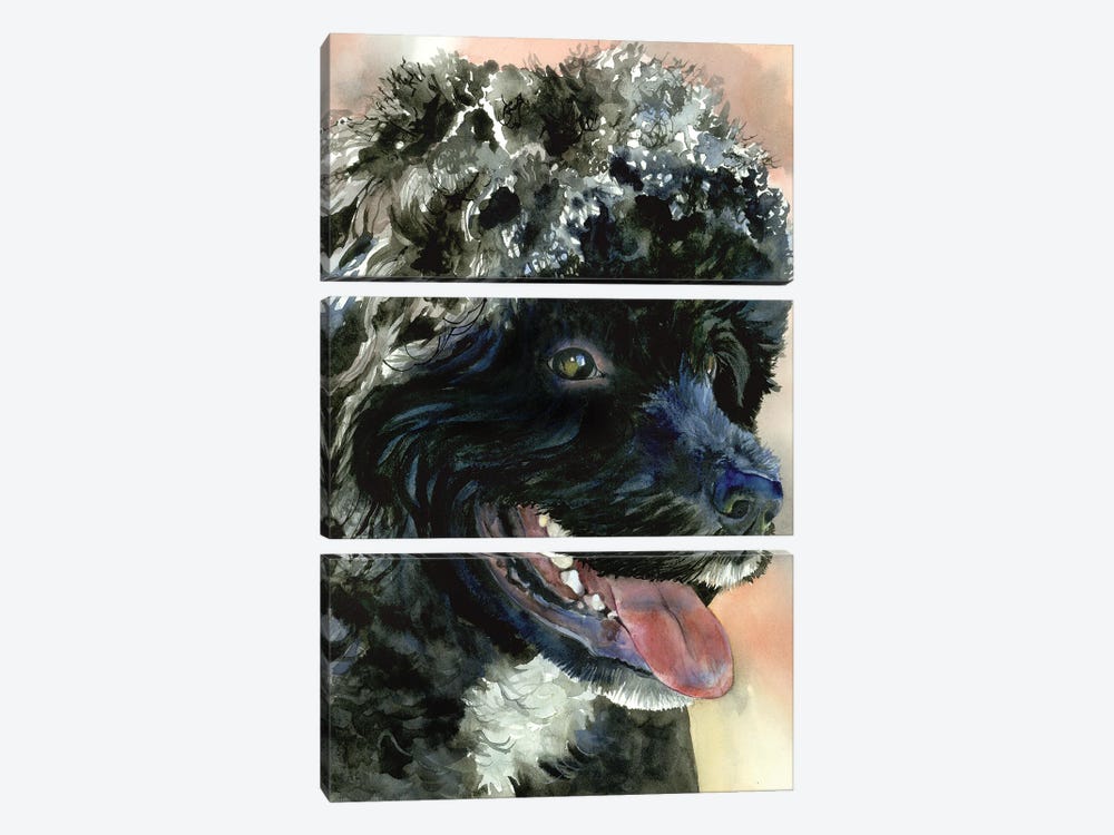 Part Of The Crew - Portuguese Water Dog by Judith Stein 3-piece Canvas Wall Art