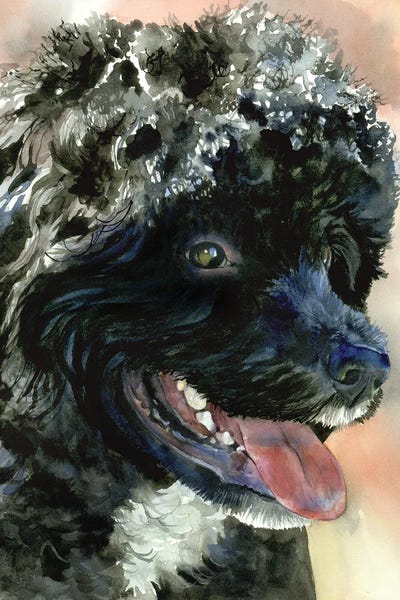 Animal Lover: Part Of The Crew - Portuguese Water Dog by Judith Stein