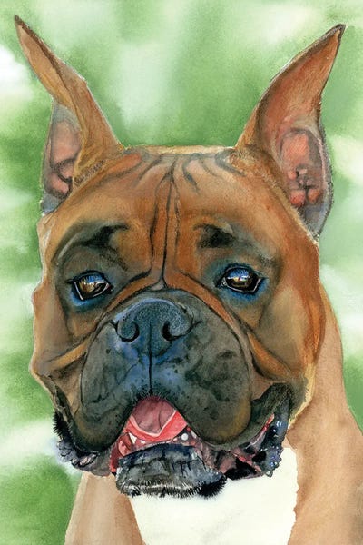 Boxers: Play It By Ear - Boxer by Judith Stein