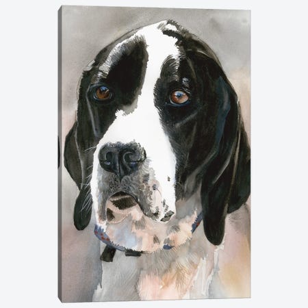 Point Of View - English Pointer Canvas Print #JDI394} by Judith Stein Canvas Art