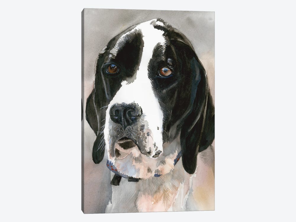 Point Of View - English Pointer by Judith Stein 1-piece Art Print