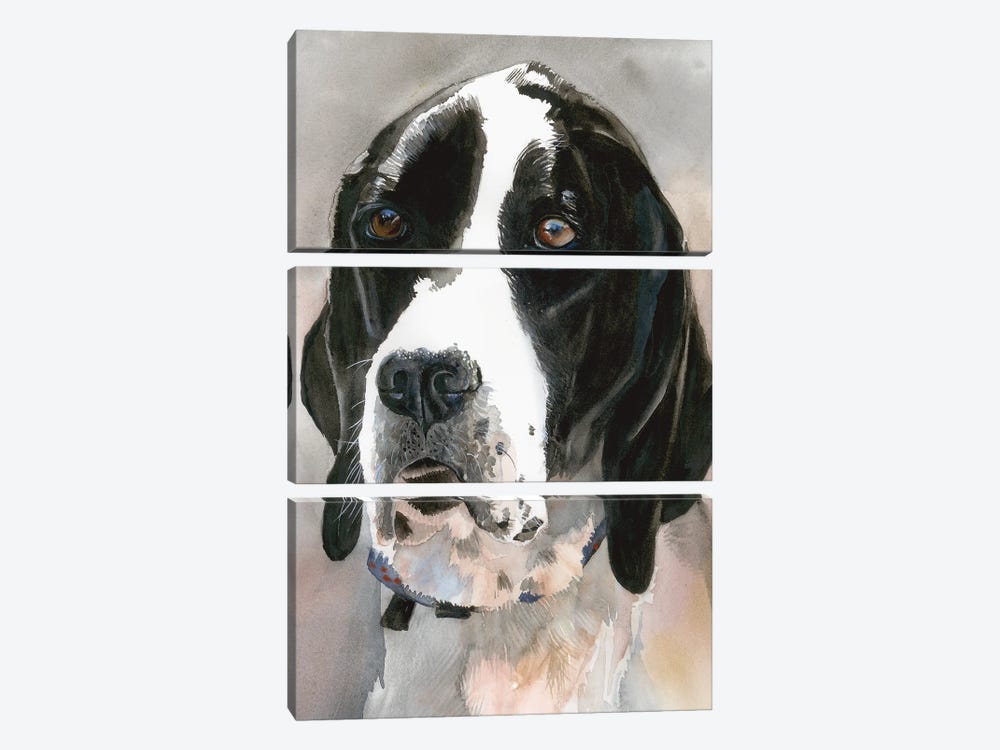 Point Of View - English Pointer by Judith Stein 3-piece Art Print
