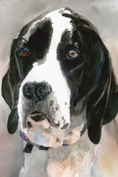 Pointers & Setters: Point Of View - English Pointer by Judith Stein