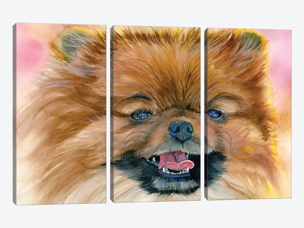 Pom Pom - Pomeranian by Judith Stein 3-piece Canvas Art