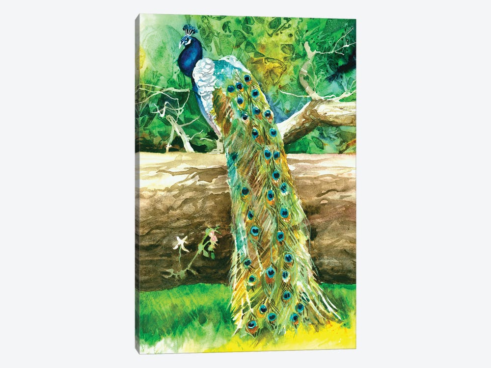 Proud Peacock by Judith Stein 1-piece Art Print