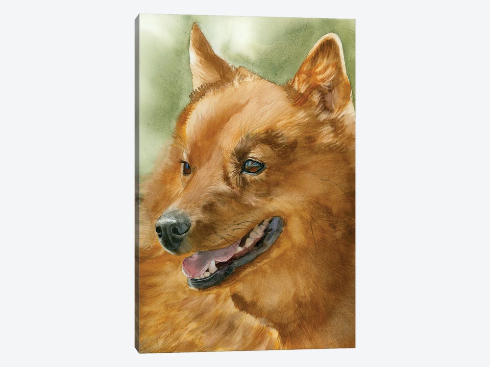 Red Dog - Finnish Spitz by Judith Stein 1-piece Canvas Print