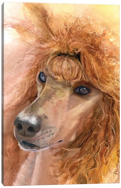 Red Poodle - Standard Poodle Canvas Art Print - Judith Stein