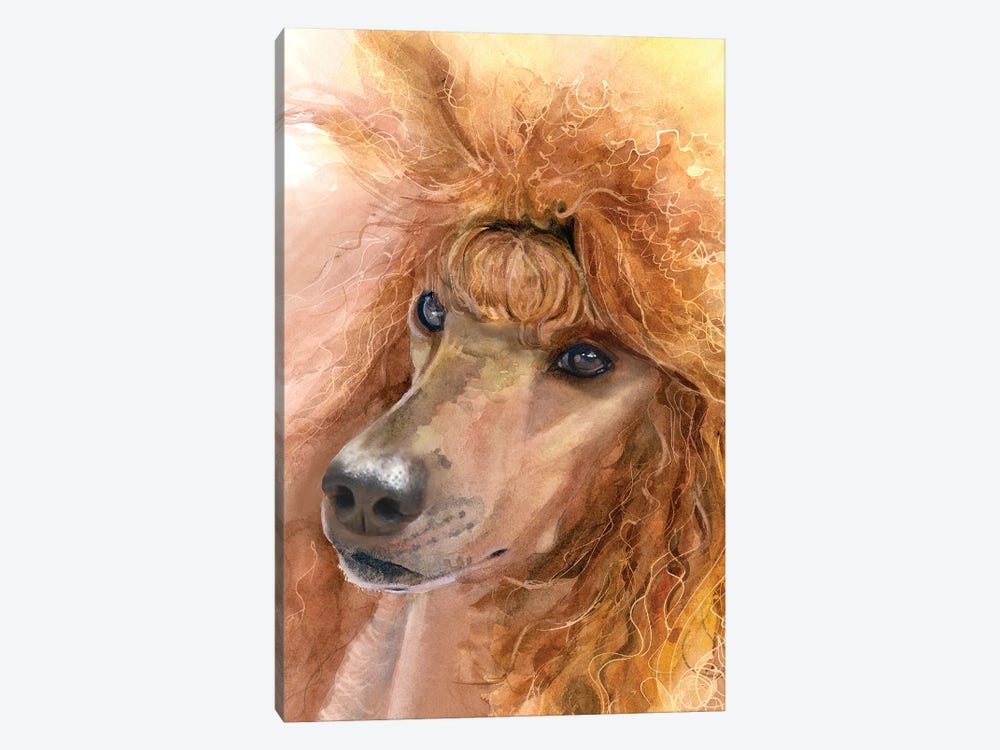 Red Poodle - Standard Poodle by Judith Stein 1-piece Canvas Wall Art