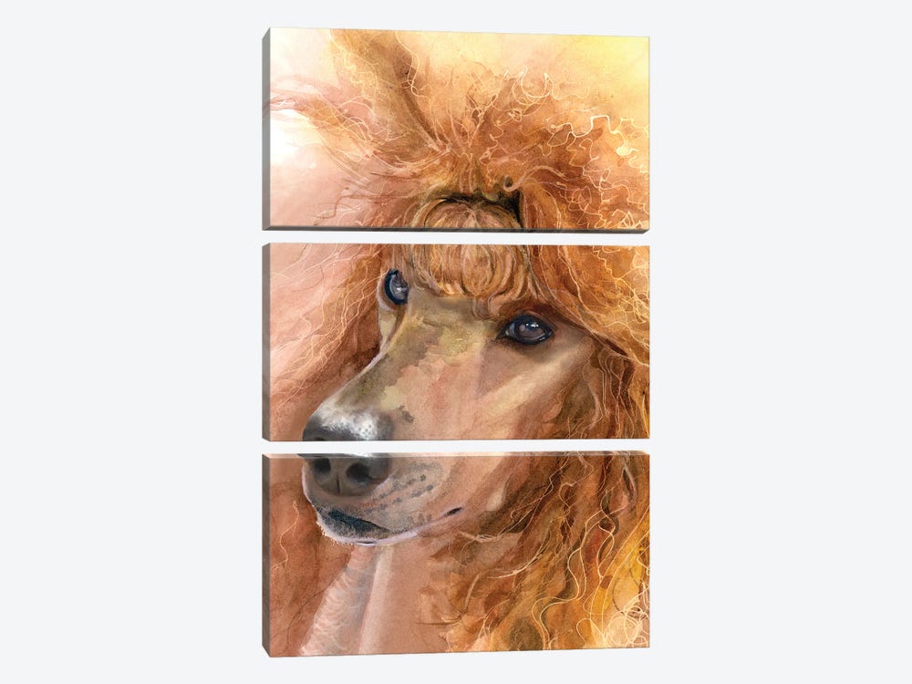 Red Poodle - Standard Poodle by Judith Stein 3-piece Canvas Art