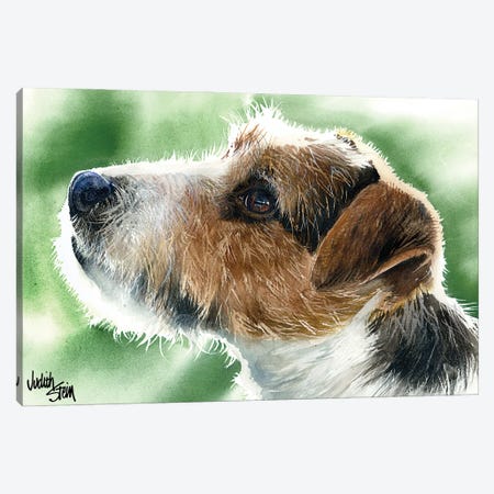 Clever Canine - Parson Russell Terrier  Canvas Print #JDI39} by Judith Stein Art Print