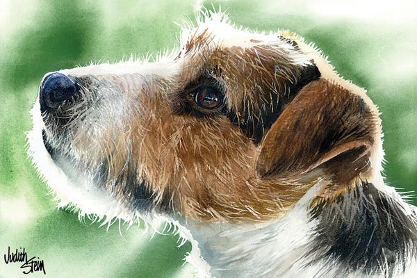 Clever Canine - Parson Russell Terrier 