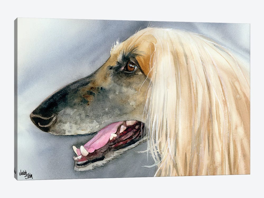 Afghan Hound by Judith Stein 1-piece Canvas Print