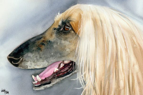 Afghan Hounds: Afghan Hound by Judith Stein