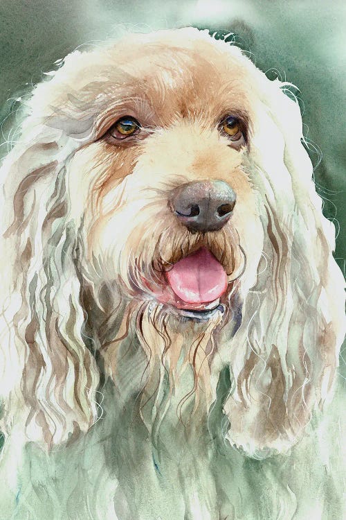 Regal Hound - Otterhound