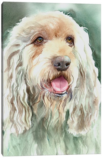 Regal Hound - Otterhound Canvas Art Print - Judith Stein