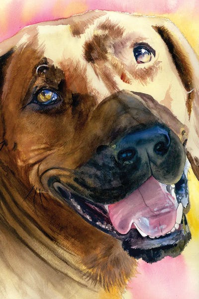 Rhodesian Ridgebacks: Rhodesian Ridgeback by Judith Stein