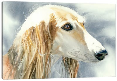 Royal Dog Of Egypt Canvas Art Print - Judith Stein