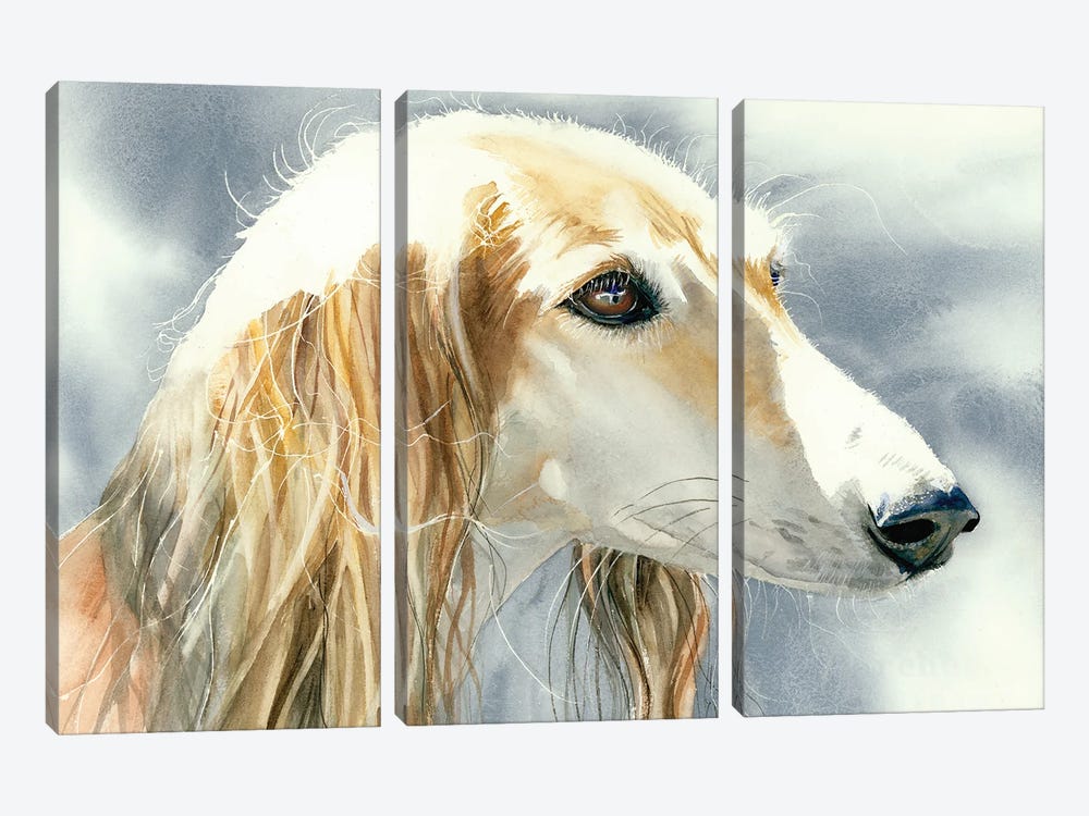 Royal Dog Of Egypt by Judith Stein 3-piece Canvas Print