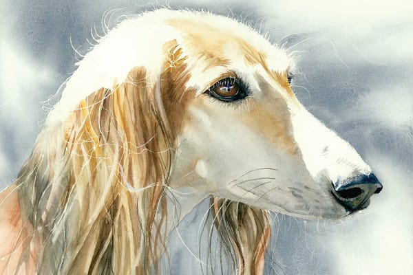 Royal Dog Of Egypt