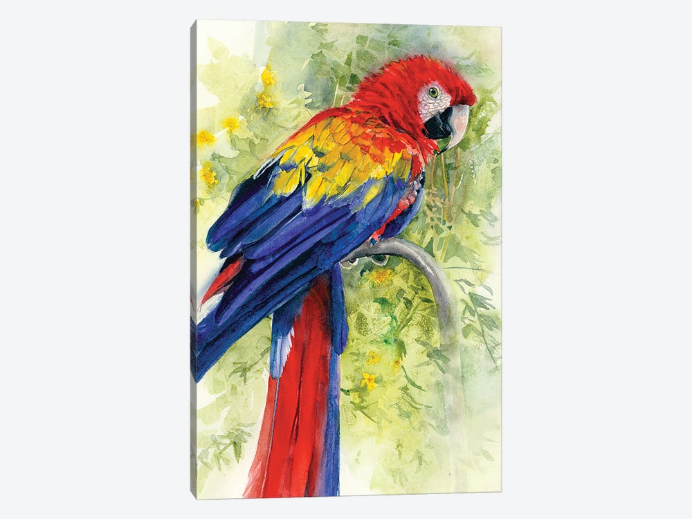 Scarlet Macaw by Judith Stein 1-piece Canvas Art