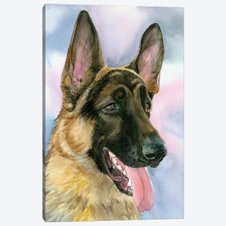 Secret Agent Dog - Belgian Malinois Canvas Print #JDI404} by Judith Stein Canvas Wall Art