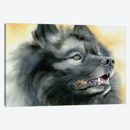 Smiling Dutchman - Keeshond Dog Canvas Print #JDI407} by Judith Stein Canvas Artwork