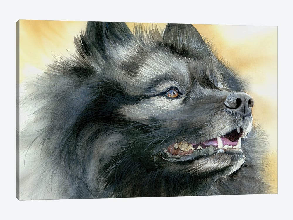 Smiling Dutchman - Keeshond Dog by Judith Stein 1-piece Canvas Artwork