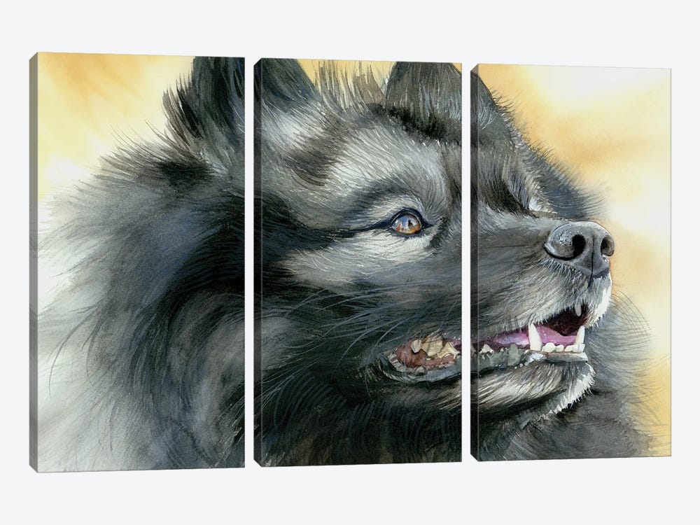 Smiling Dutchman - Keeshond Dog by Judith Stein 3-piece Canvas Art