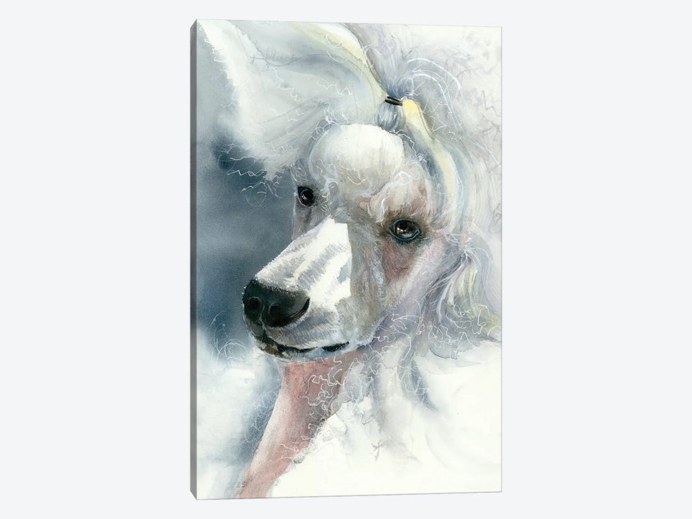 Sophisticated Lady - White Poodle by Judith Stein 1-piece Art Print