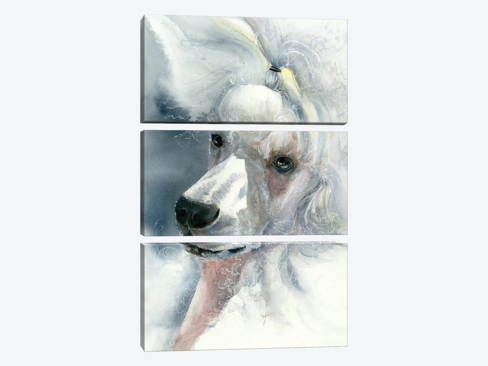 Sophisticated Lady - White Poodle by Judith Stein 3-piece Canvas Print