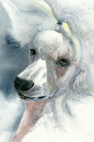 Poodles: Sophisticated Lady - White Poodle by Judith Stein