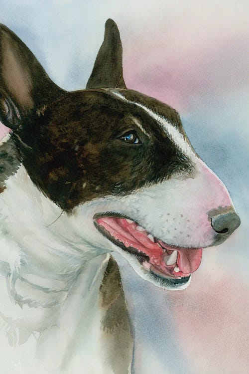 Spuds - Bull Terrier by Judith Stein wall art