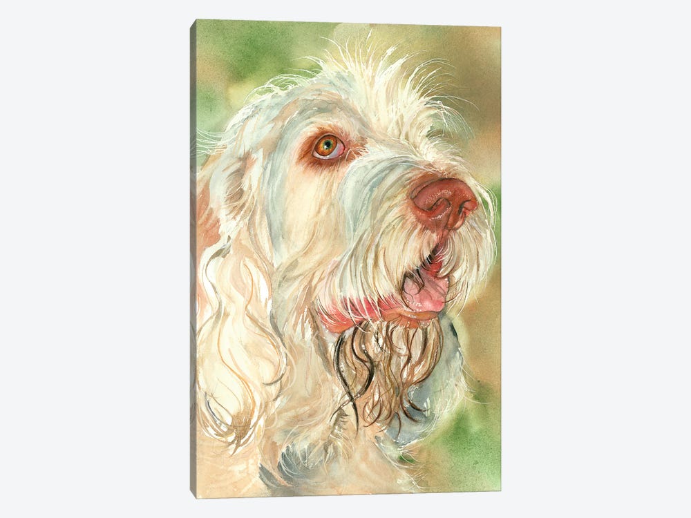 That's Amore - Spinone Italiano by Judith Stein 1-piece Canvas Print