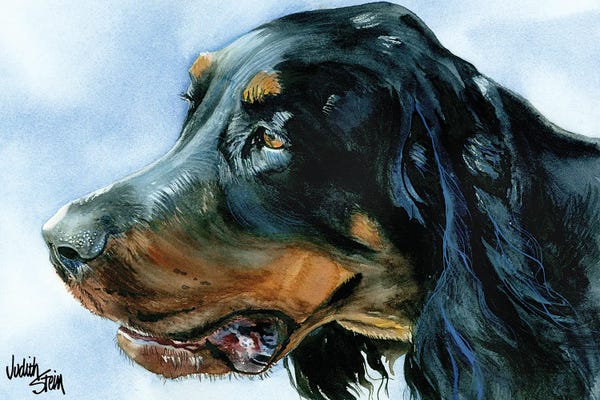 Gordon Setters