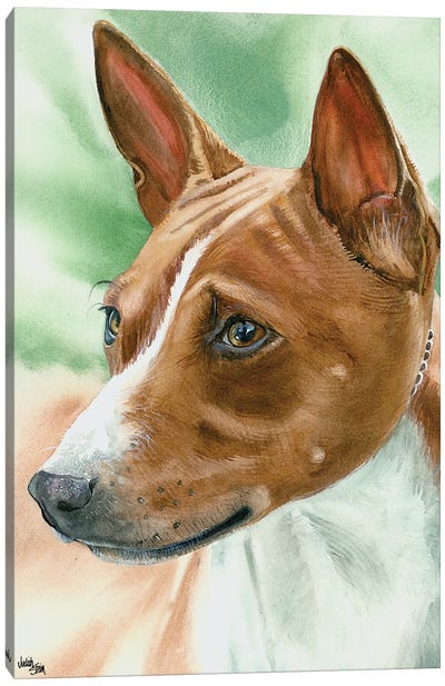 Congo Dog - Basenji Canvas Art Print - Judith Stein
