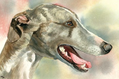 Whippets