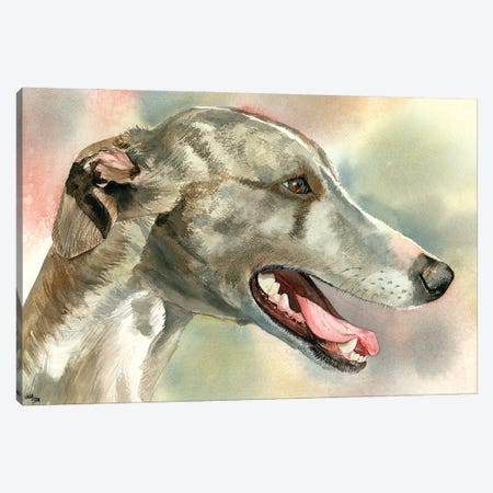 Cool Whipped - Whippet Canvas Print #JDI43} by Judith Stein Canvas Art