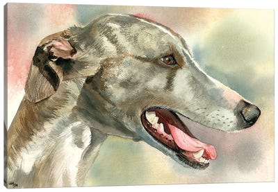Cool Whipped - Whippet Canvas Art Print - Judith Stein