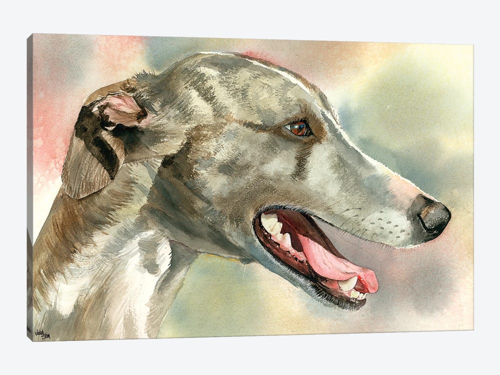 Cool Whipped - Whippet by Judith Stein 1-piece Canvas Art